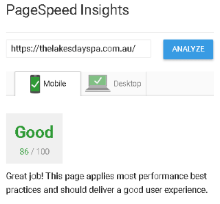 Google PageSpeed Insights Green result